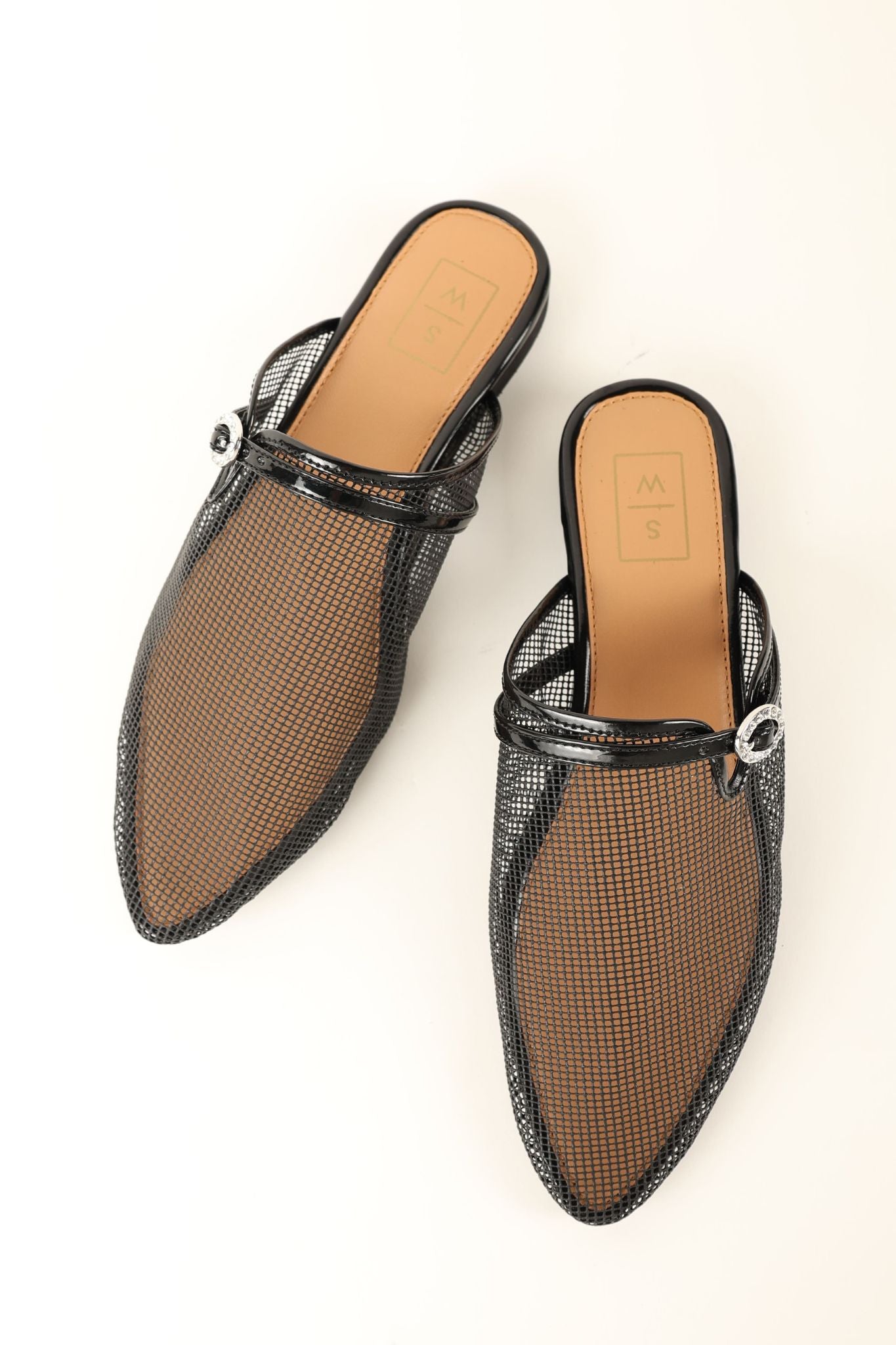 Erica Mule (Website Exclusive)